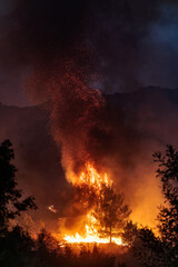 Forest Engulfed in Flames and Smoke During Nighttime Wildfire