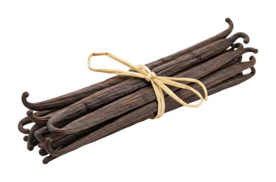 Harvesting vanilla pods culinary delights tropical farm food organic environment flavor concepts. Cut out PNG