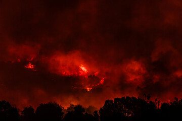 Forest Engulfed in Flames and Smoke During Nighttime Wildfire