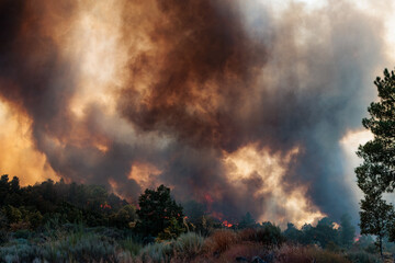 Massive Plume of Dark Smoke Billows from a Forest Fire in Portugal