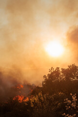 Sun Obscured by Thick Smoke from a Raging Wildfire