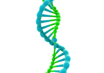 Dna structure visualization laboratory research 3d model scientific environment genetics concept. Cut out PNG