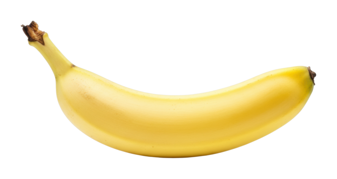 Banana harvesting techniques tropical farm educational guide natural environment sustainable practices. Cut out PNG