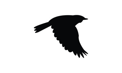Fototapeta premium Flying American yellow warbler bird Silhouette Design And Vector Illustration. 