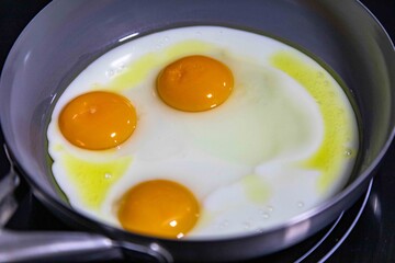 Free-range eggs fried in olive oil, a strong and healthy food. Real food.