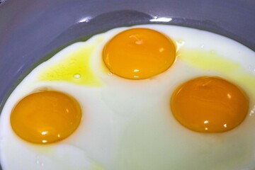 Free-range eggs fried in olive oil, a strong and healthy food. Real food.