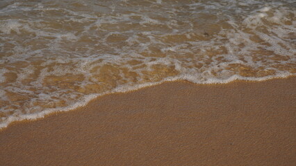 Close-up of sea waves washing over golden sandy beach with white foam. Natural summer background with ocean water and shoreline texture.
