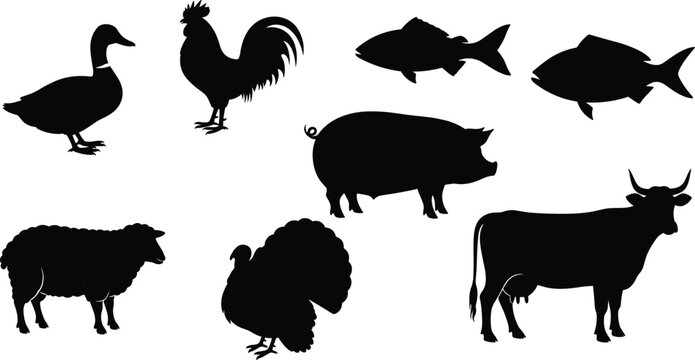 Farm animal icon set, duck rooster pig cow sheep turkey fish silhouettes, black vector illustration, agriculture education clipart