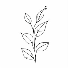 Simple black line drawing of a plant stem and leaves