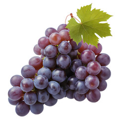 Fototapeta premium Png fresh grapes bunch with leaf isolated on black background healthy fruit agriculture harvest vineyard food Isolated on white background