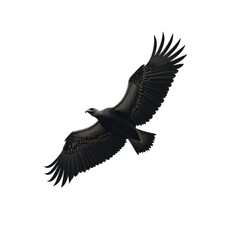 A low angle shot of a bald eagle soaring through the air against a black background