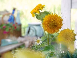 bouquet of sunflowers