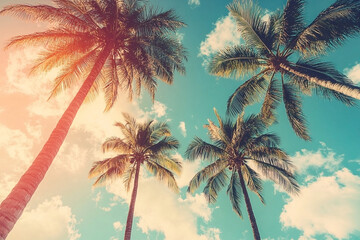 Tropical Palm Trees Reaching for a Pastel Sky