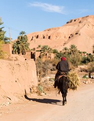 Man on horse, desert village
