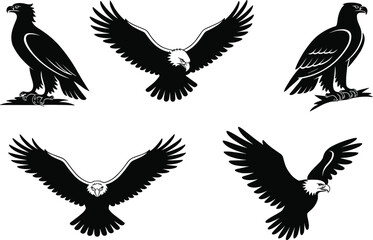 Obraz premium Collection of detailed eagle vector illustrations, flying and perched bird of prey designs, wildlife and nature symbols, majestic raptor graphic elements, isolated black silhouettes