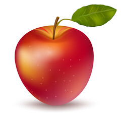 red apple isolated on white