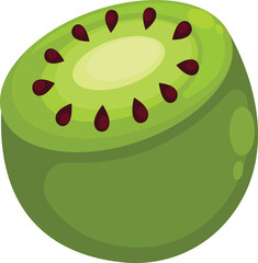 illustration of a kiwi 