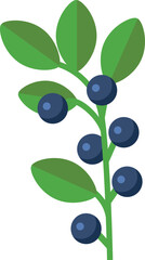 vector illustration of olives with leaves