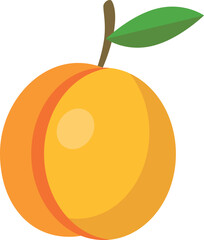 vector illustration of an orange fruit