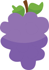 vector illustration a bunch of grapes
