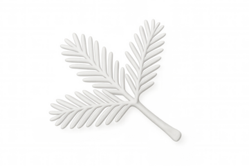 White palm leaf 3d rendering, transparent background, embodying tropical summer aesthetic for graphic design applications