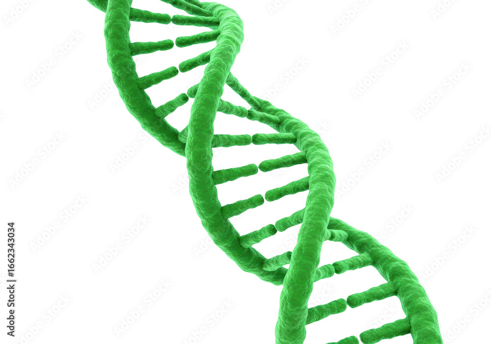 Poster exploring genetic structures through 3d visualization science laboratory educational environment per