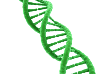 Exploring genetic structures through 3d visualization science laboratory educational environment perspective. Cut out PNG