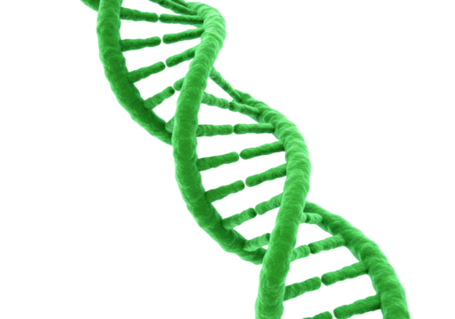 Exploring genetic structures through 3d visualization science laboratory educational environment perspective. Cut out PNG