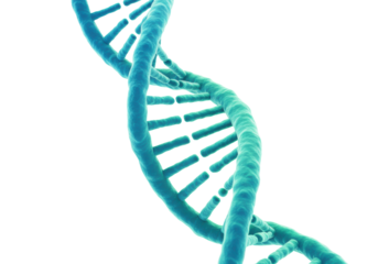 Exploring genetic structures dna helix visuals scientific research abstract environment molecular biology concepts. Cut out PNG