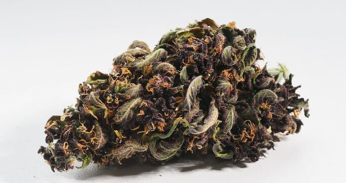 cannabis dry bud close up medical marijuana