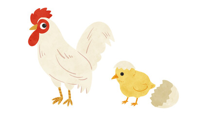 にわとり・殻付きひよこの親子セット　水彩風手描きイラスト