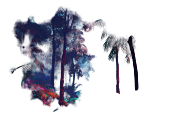 Abstract forest scene with vibrant colors