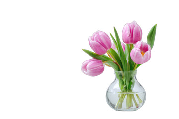 Obraz premium A bouquet of pink tulips in a clear glass vase