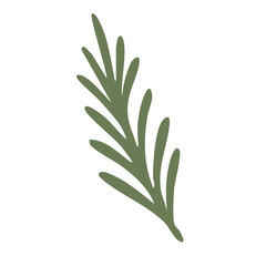 Green rosemary herb branch illustration isolated on white background simple flat vector design.