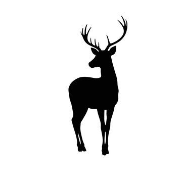 Deer Silhouette Vector &ndash; Elegant Standing Stag with Antlers