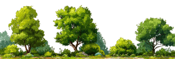 Lush green trees in a forest landscape