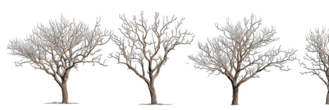 Four stylized trees with detailed branches