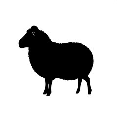 A solid black silhouette of a sheep in side view, facing left, with a round and woolly body shape. The horns are small and slightly curved. The figure stands alone on a pure white background in a simp