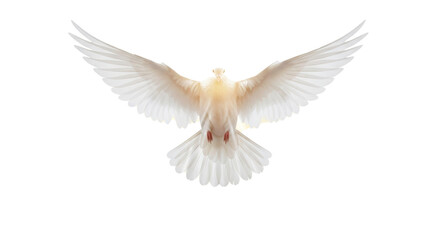 Fototapeta premium Flying white dove peace symbol png transparent background stock image for graphic design and web use