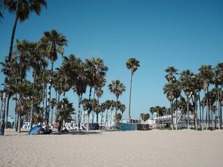 ロサンゼルス　サンタモニカ　ベニスビーチ