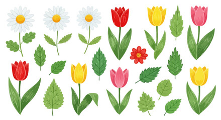 Vibrant and Cheerful Floral Collection Featuring Daisies and Tulips, Perfect for Springtime Designs and Decorative Elements in Creative Projects