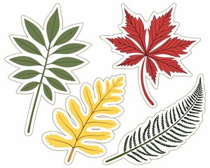 Colorful vector set of four different stylized leaves in sticker format. Includes maple, fern, compound leaf, and abstract foliage in red, green, yellow, and black. Ideal for autumn-themed projects