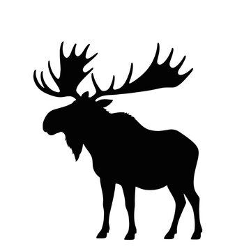 "Moose Silhouette Vector &ndash; Majestic Elk SVG with Antlers