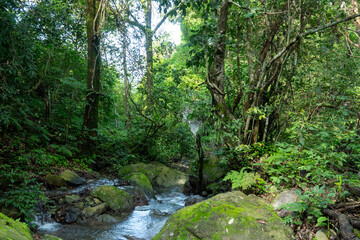 Cuautitlán de García Barragán