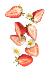 Cut fresh juicy strawberries with flowers falling on white background