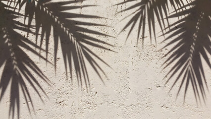 Obraz premium Tropical palm leaf shadows gracefully fall on a sun-drenched, textured wall, creating an abstract summer background.