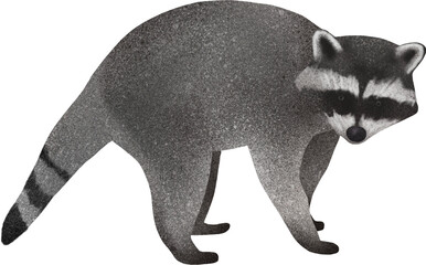 Raccoon Illustration (너구리 일러스트) © ROWAN