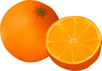 Orange Illustration (오렌지 일러스트)
