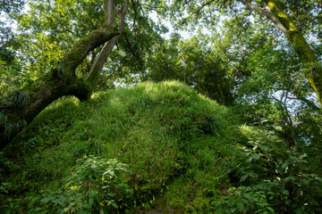 Cuautitl&aacute;n de Garc&iacute;a Barrag&aacute;n
