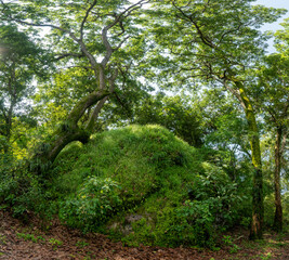 Cuautitlán de García Barragán